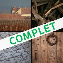 De Vougeot à Vosne : Découverte des paysages, sols et sous-sols du vignoble