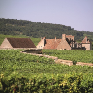 Château du Clos de Vougeot  © Armelle