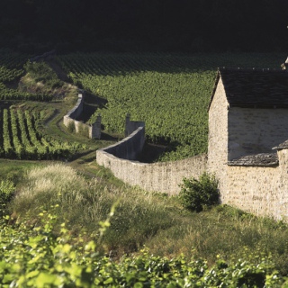 Clos St Jacques © Armelle