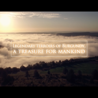 Video - Legendary terroirs of Burgundy, a treasure for mankind (EN 2016)