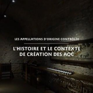 Les appellations d'origine contrôlée en Bourgogne