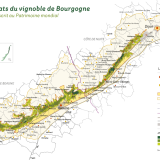 Geographical Area of the site included