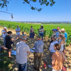 Les Climats à l'Élégance des Volnay 
